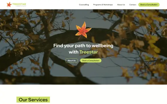 Business Consulting Services Website